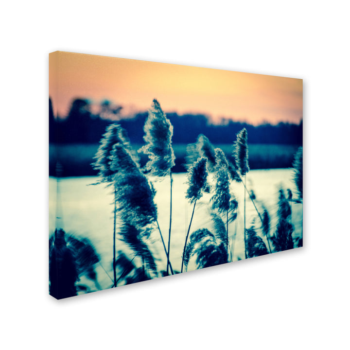 PIPA Fine Art Sunset on the Marsh 2 14 x 19 Canvas Art Image 3