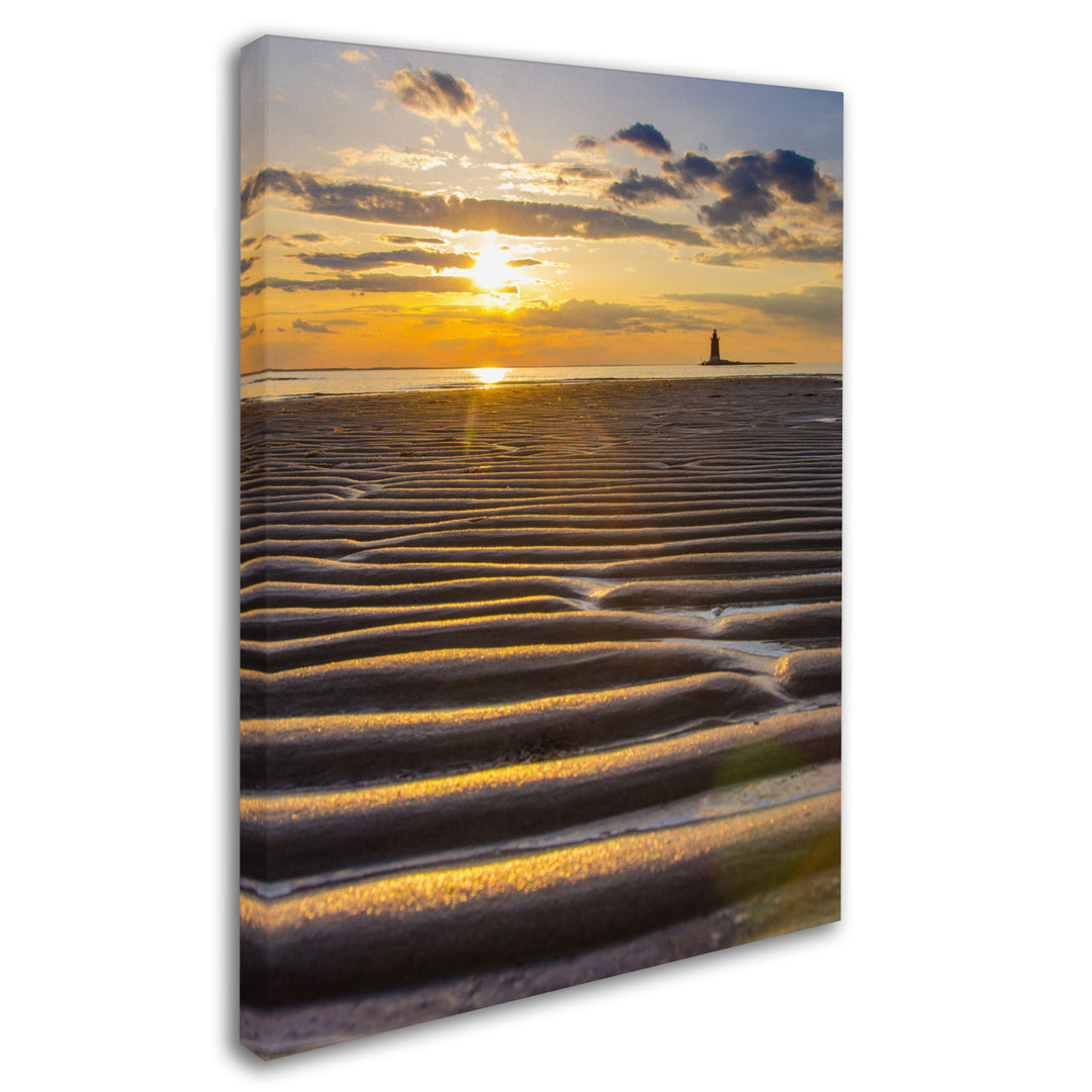 PIPA Fine Art Sandbars 14 x 19 Canvas Art Image 3