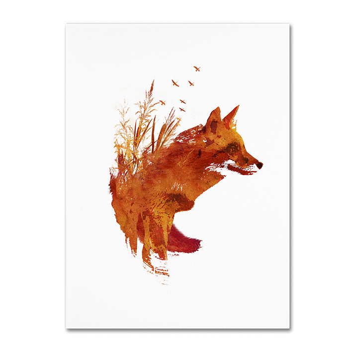 Robert Farkas Plattensee Fox 14 x 19 Canvas Art Image 1