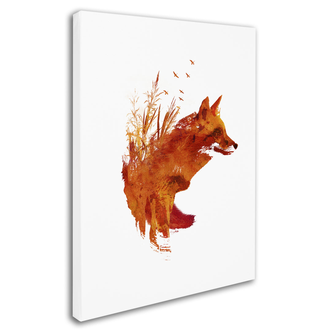 Robert Farkas Plattensee Fox 14 x 19 Canvas Art Image 3