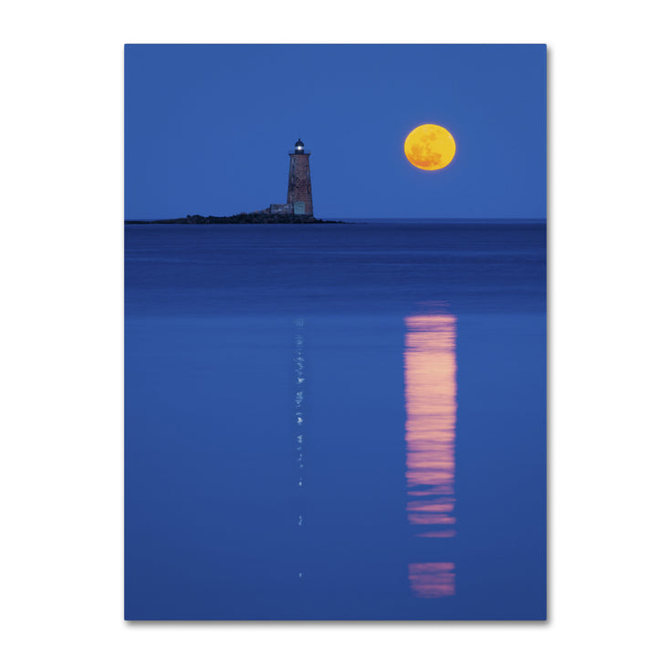 Michael Blanchette Photography Moon Reflections 14 x 19 Canvas Art Image 2