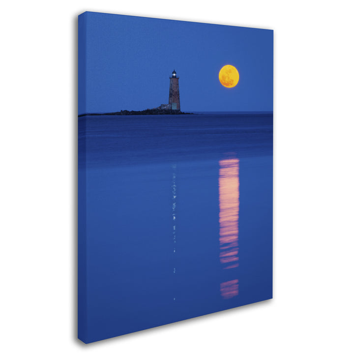 Michael Blanchette Photography Moon Reflections 14 x 19 Canvas Art Image 3