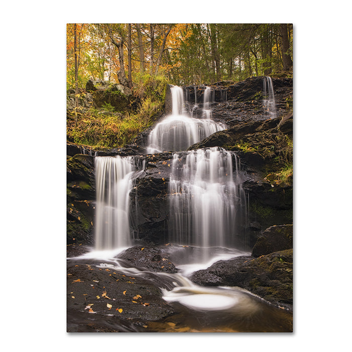 Michael Blanchette Photography Autumn Horsetails 14 x 19 Canvas Art Image 1