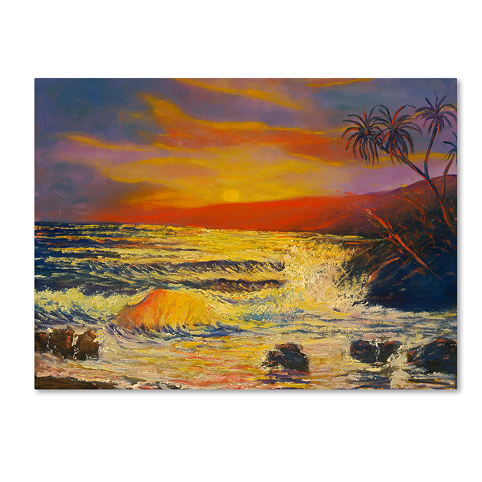 Manor Shadian Maui Sunset 14 x 19 Canvas Art Image 1