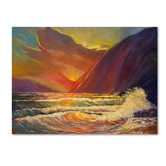 Manor Shadian Hawaiian Coastal Sunset 14 x 19 Canvas Art Image 1