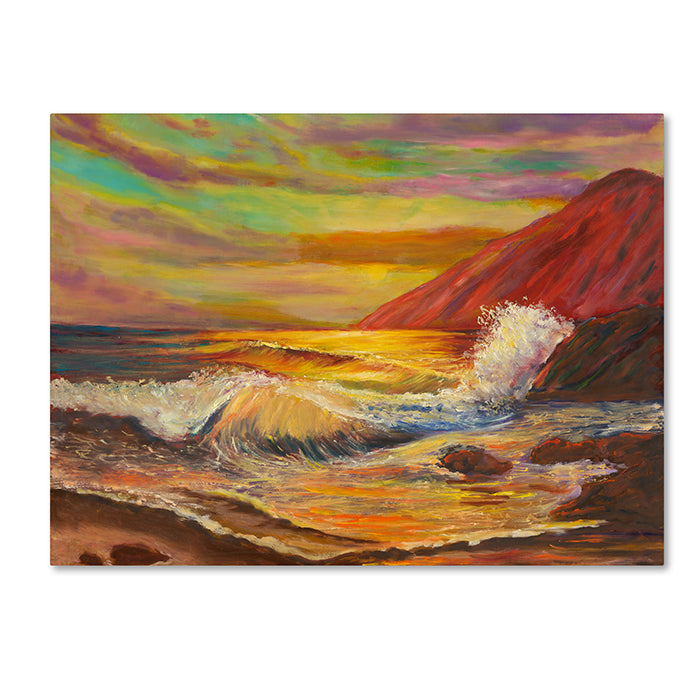 Manor Shadian Kaena Coast Sunset 14 x 19 Canvas Art Image 1