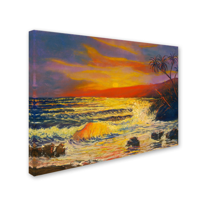 Manor Shadian Maui Sunset 14 x 19 Canvas Art Image 3