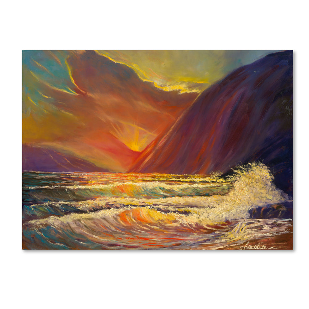 Manor Shadian Hawaiian Coastal Sunset 14 x 19 Canvas Art Image 2