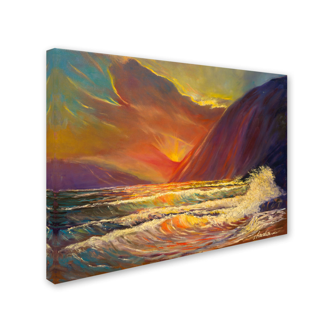 Manor Shadian Hawaiian Coastal Sunset 14 x 19 Canvas Art Image 3