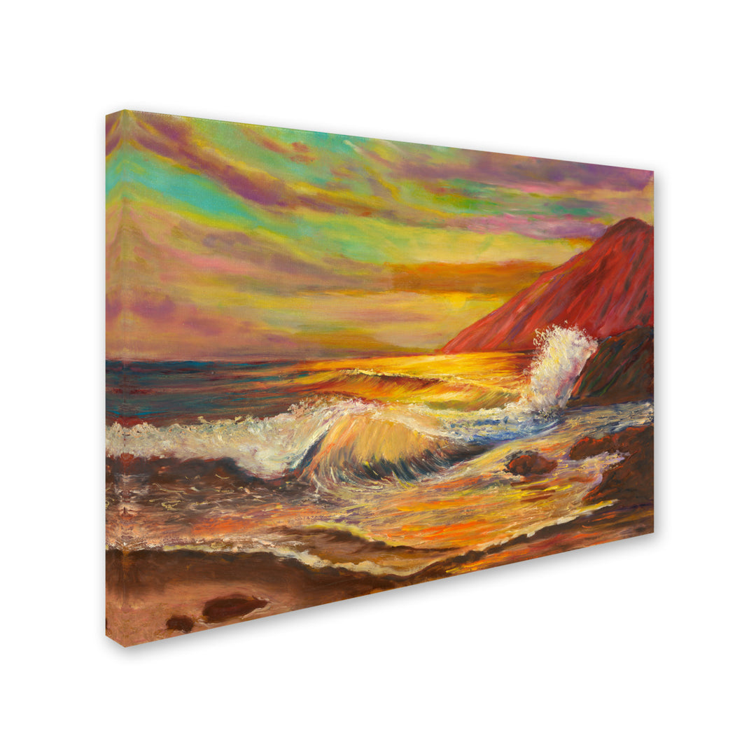 Manor Shadian Kaena Coast Sunset 14 x 19 Canvas Art Image 3