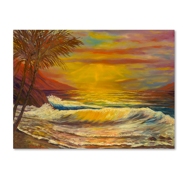 Manor Shadian A Tropical Lagoon 14 x 19 Canvas Art Image 1