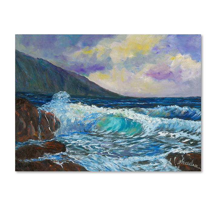 Manor Shadian Mauis Enchanting Seas 14 x 19 Canvas Art Image 1