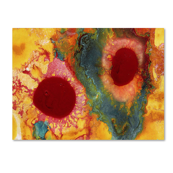 Amy Vangsgard Abstract Red Daisies 14 x 19 Canvas Art Image 1