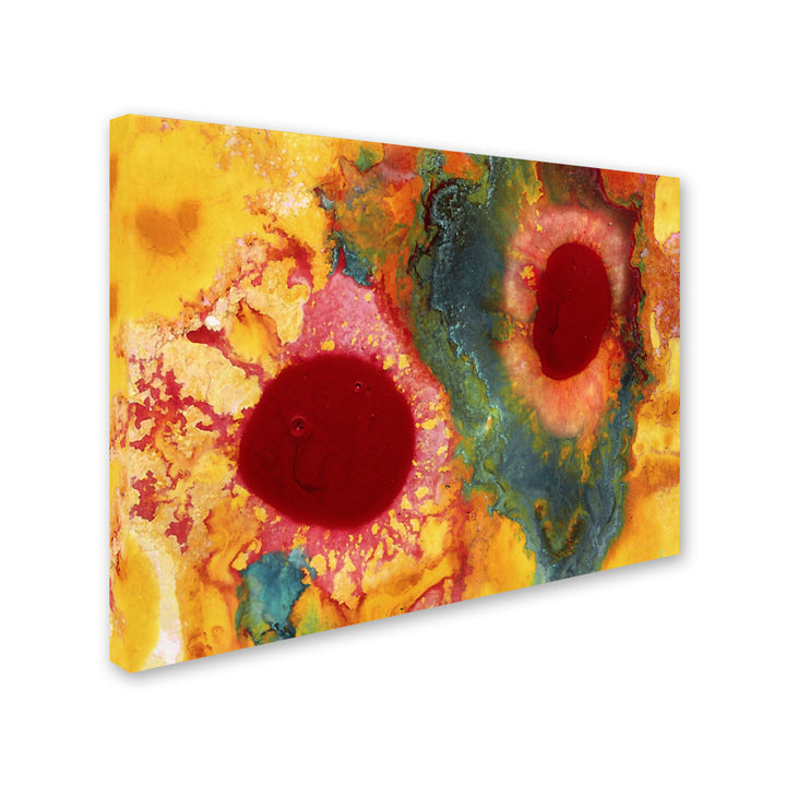 Amy Vangsgard Abstract Red Daisies 14 x 19 Canvas Art Image 3