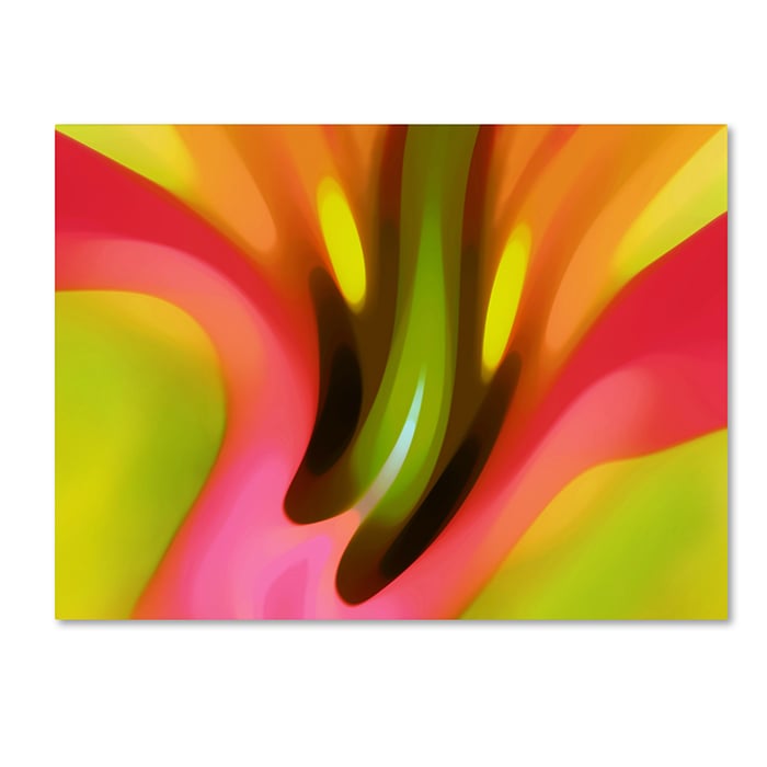 Amy Vangsgard Pink Lily 14 x 19 Canvas Art Image 1