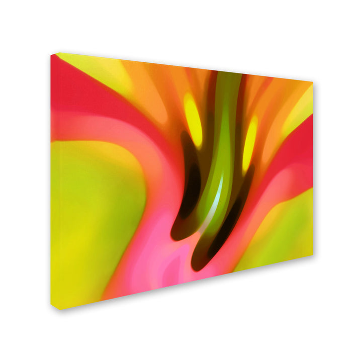 Amy Vangsgard Pink Lily 14 x 19 Canvas Art Image 3