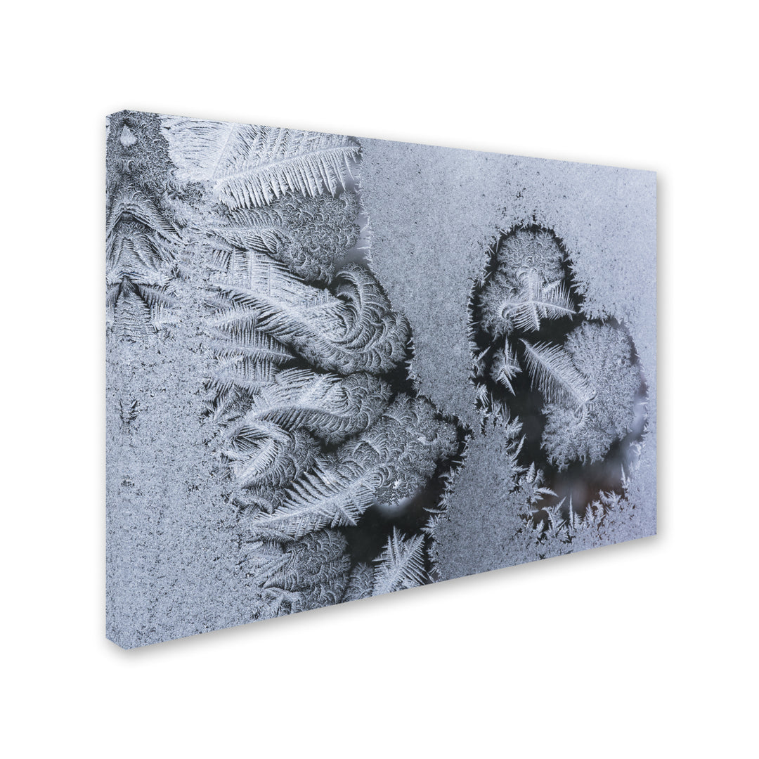 Kurt Shaffer Window Frost Pattern 4 14 x 19 Canvas Art Image 3