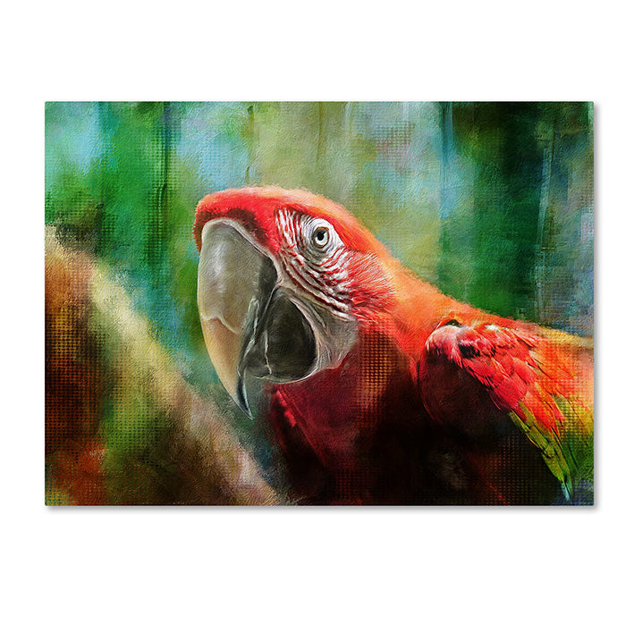 Lois Bryan Green Winged Macaw 14 x 19 Canvas Art Image 1