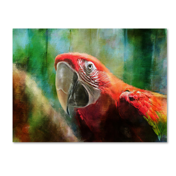 Lois Bryan Green Winged Macaw 14 x 19 Canvas Art Image 2