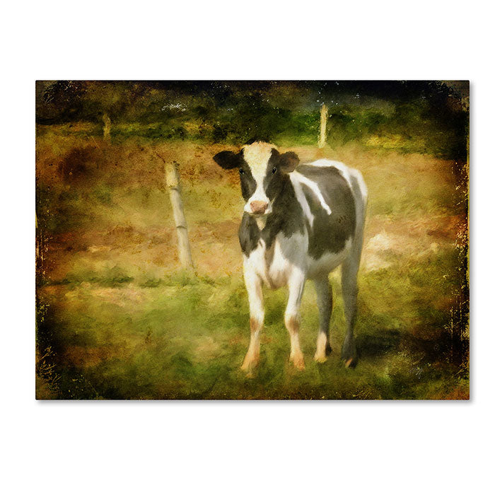 Lois Bryan Handsome Holstein 14 x 19 Canvas Art Image 1