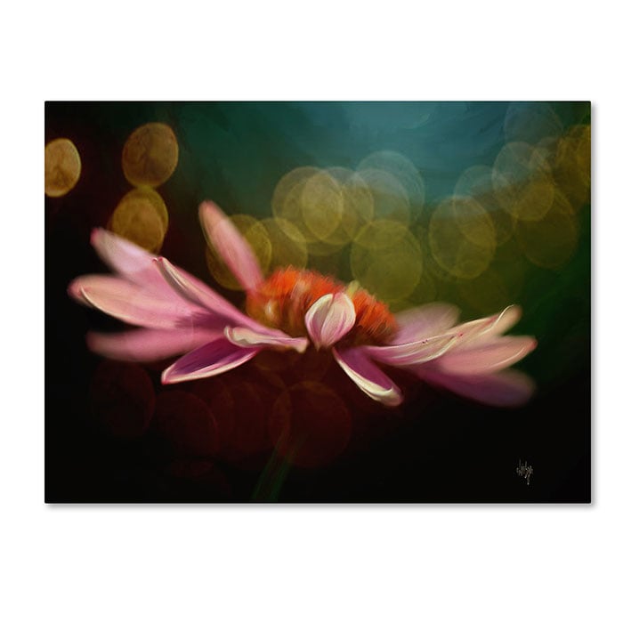 Lois Bryan The Secret World of Coneflowers 14 x 19 Canvas Art Image 1