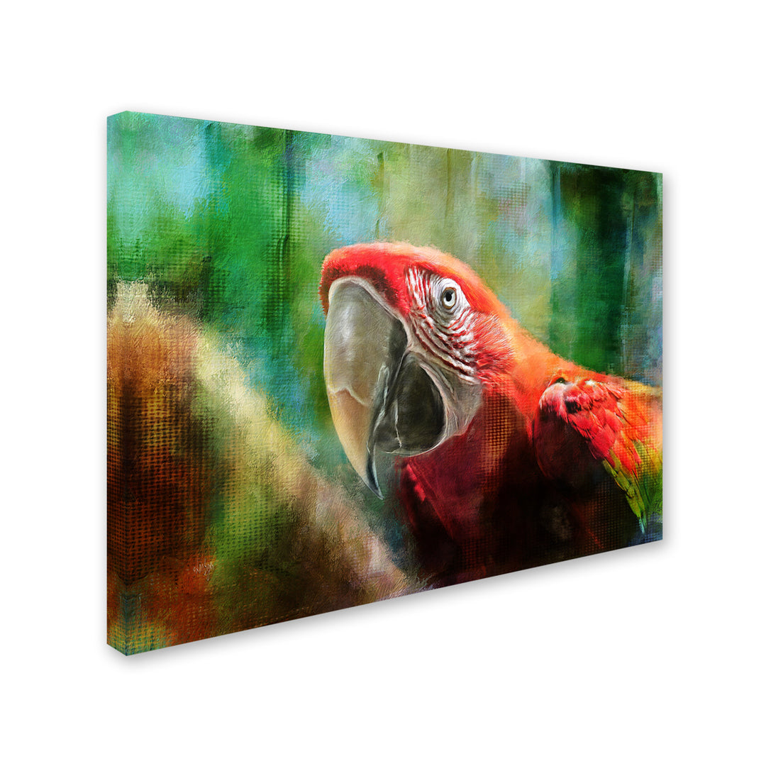 Lois Bryan Green Winged Macaw 14 x 19 Canvas Art Image 3