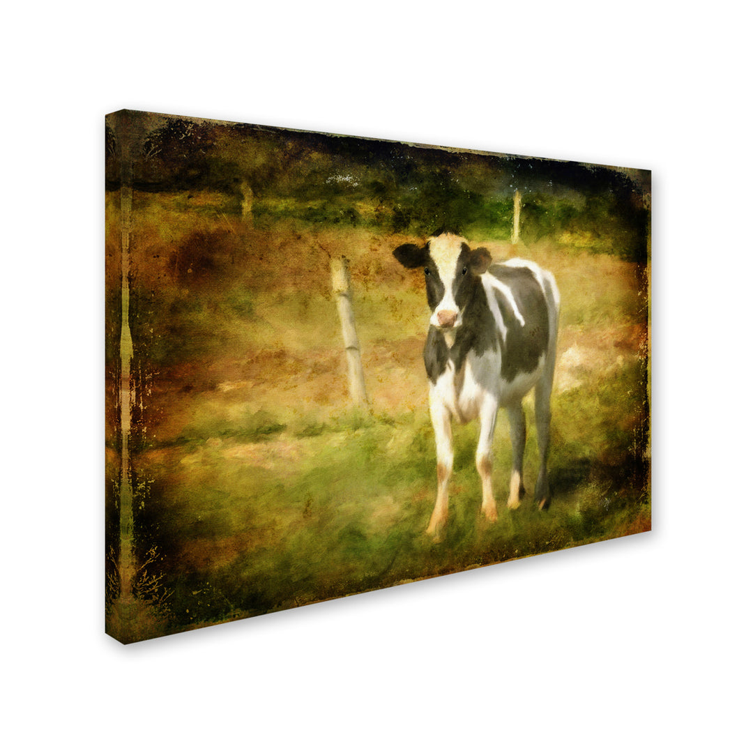 Lois Bryan Handsome Holstein 14 x 19 Canvas Art Image 3