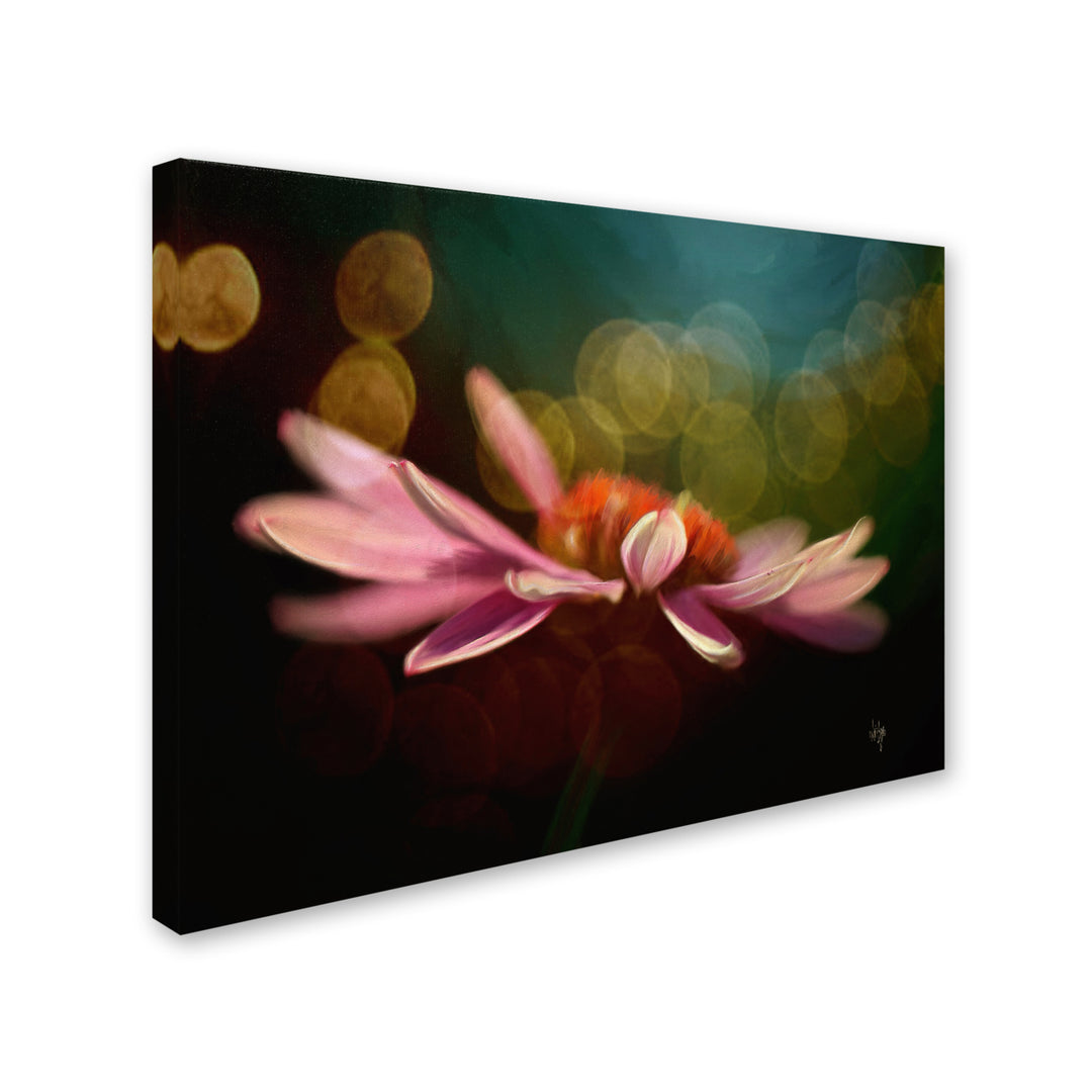 Lois Bryan The Secret World of Coneflowers 14 x 19 Canvas Art Image 3