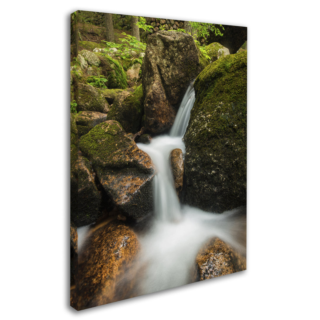 Michael Blanchette Photography Granite Cascade 14 x 19 Canvas Art Image 3