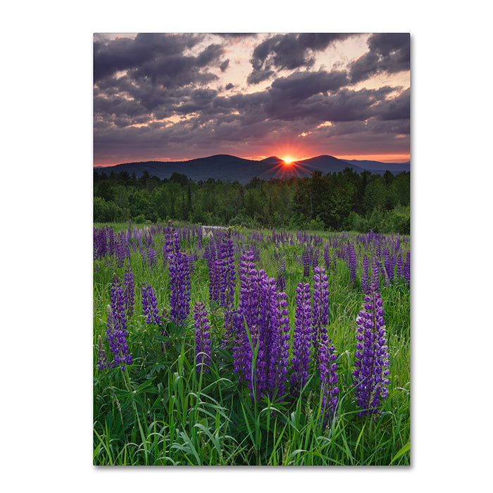 Michael Blanchette Photography Moody Sunrise 14 x 19 Canvas Art Image 1