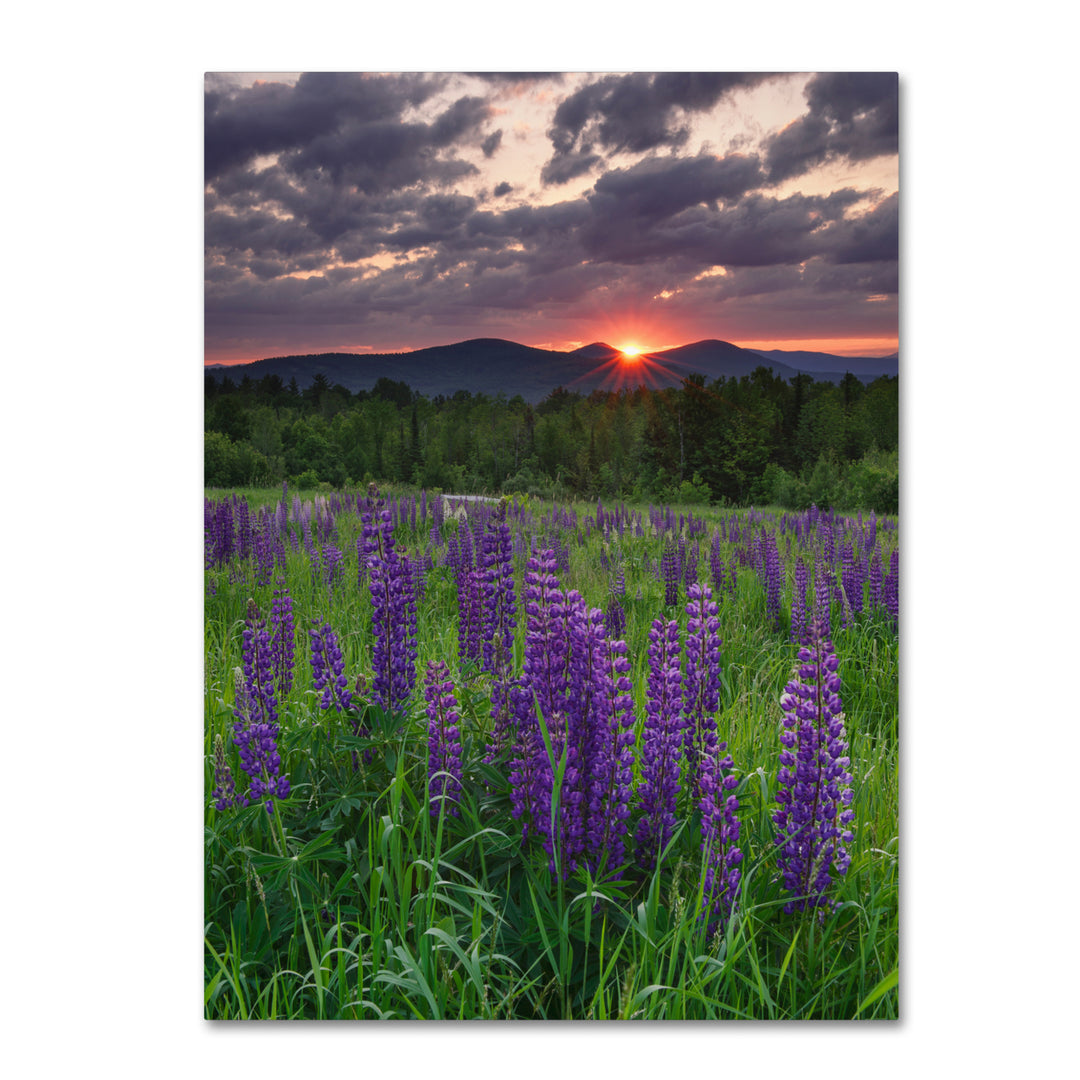 Michael Blanchette Photography Moody Sunrise 14 x 19 Canvas Art Image 2