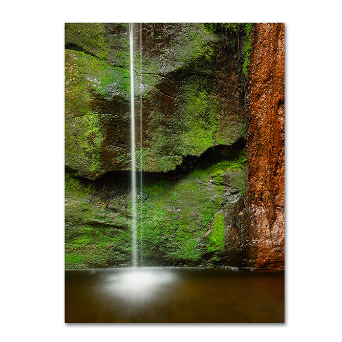 Michael Blanchette Photography Moss and Rust 14 x 19 Canvas Art Image 1