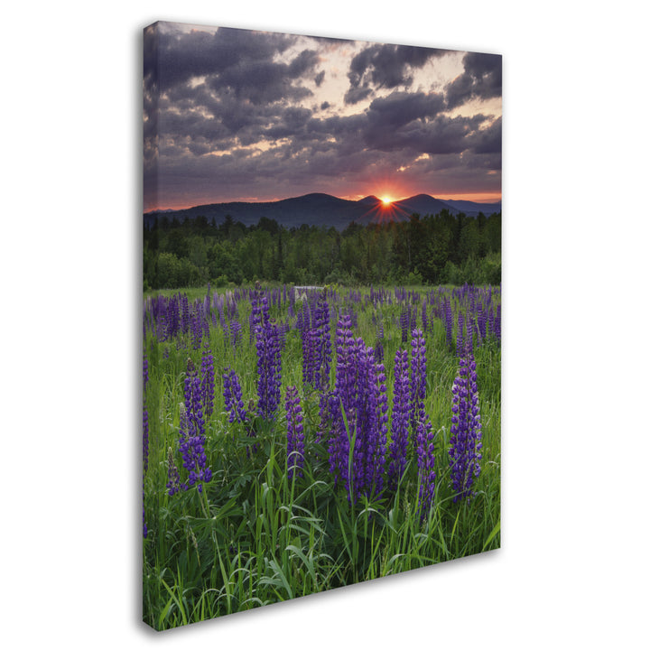 Michael Blanchette Photography Moody Sunrise 14 x 19 Canvas Art Image 3