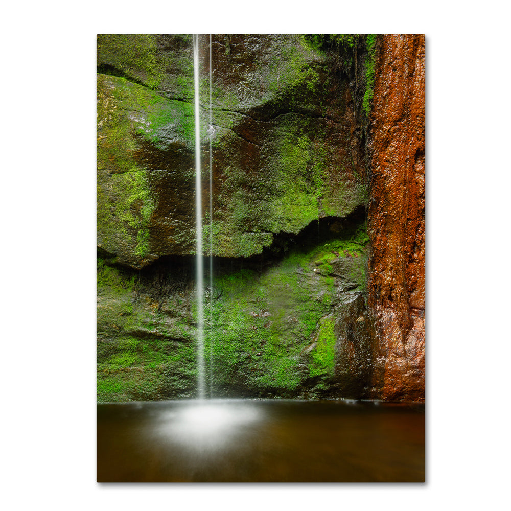 Michael Blanchette Photography Moss and Rust 14 x 19 Canvas Art Image 2