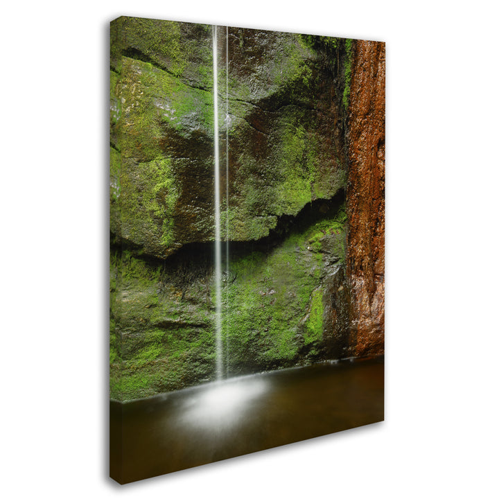 Michael Blanchette Photography Moss and Rust 14 x 19 Canvas Art Image 3