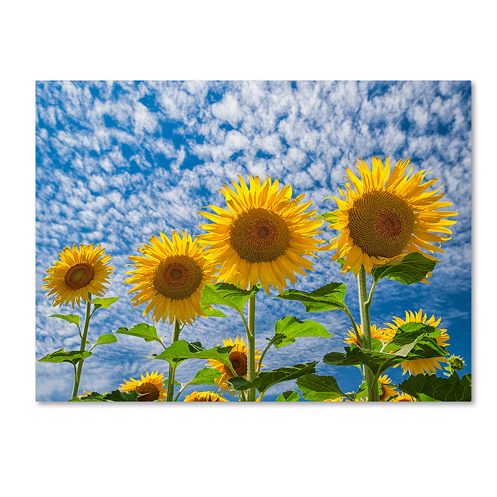 Michael Blanchette Photography The Four Sisters 14 x 19 Canvas Art Image 1