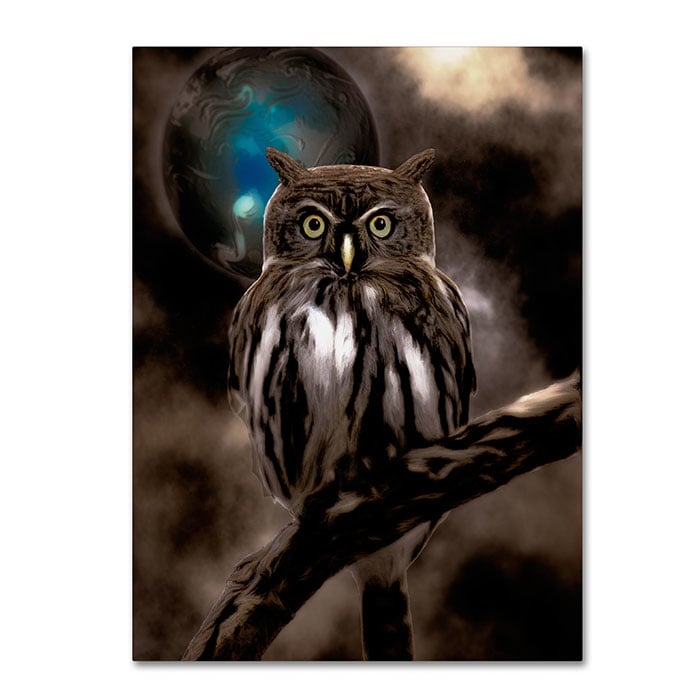 Color Bakery Night Owl 14 x 19 Canvas Art Image 1