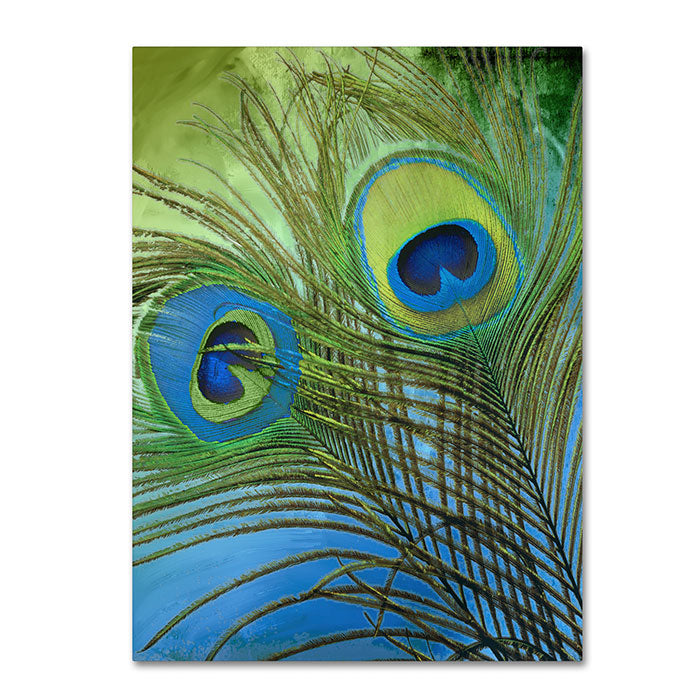 Color Bakery Peacock Candy I 14 x 19 Canvas Art Image 1