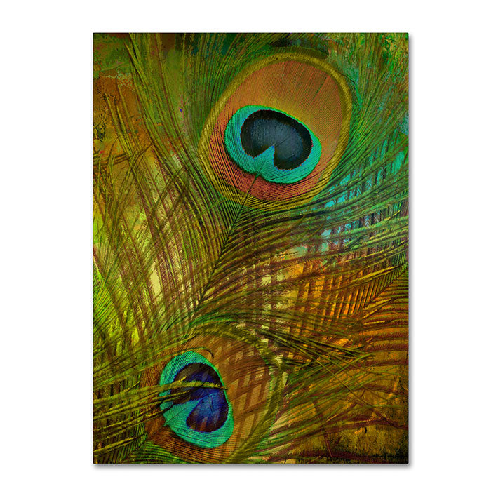 Color Bakery Peacock Candy II 14 x 19 Canvas Art Image 1