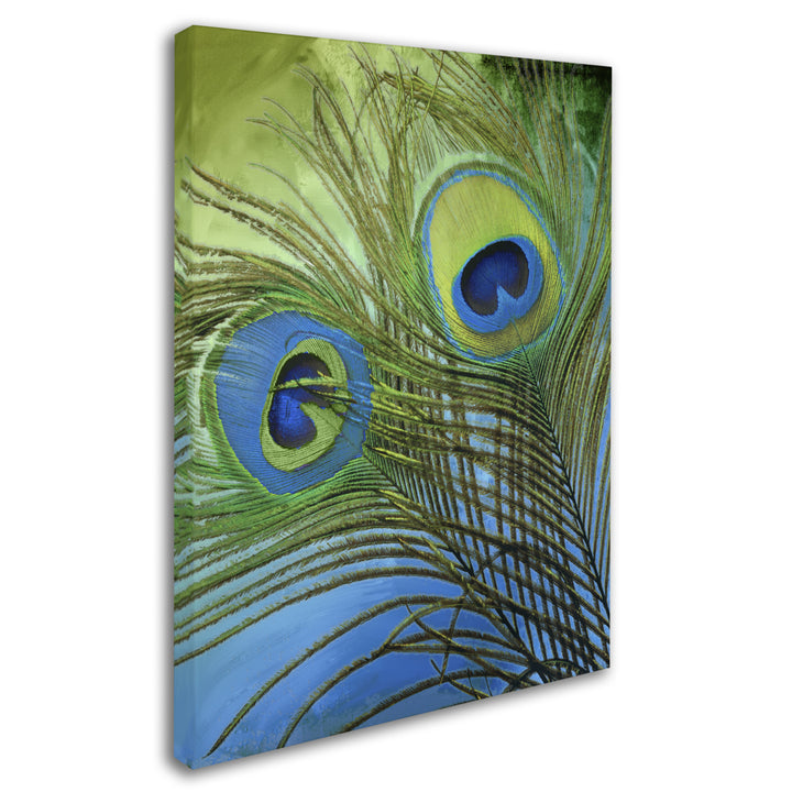 Color Bakery Peacock Candy I 14 x 19 Canvas Art Image 3