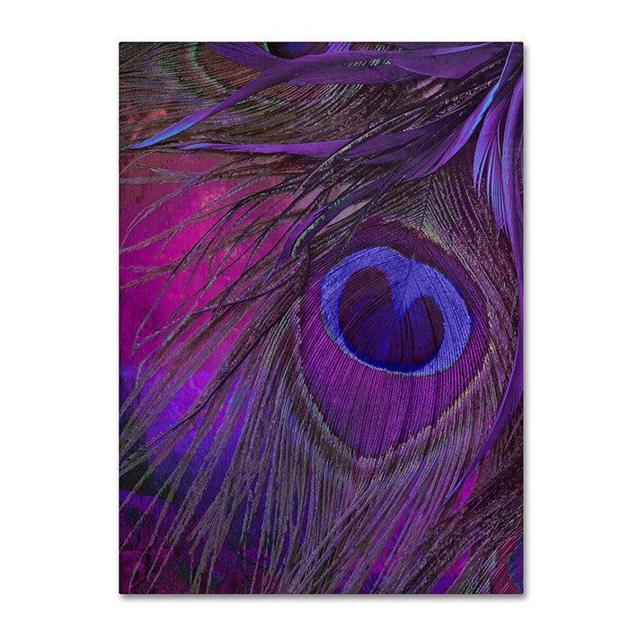 Color Bakery Peacock Candy IV 14 x 19 Canvas Art Image 1