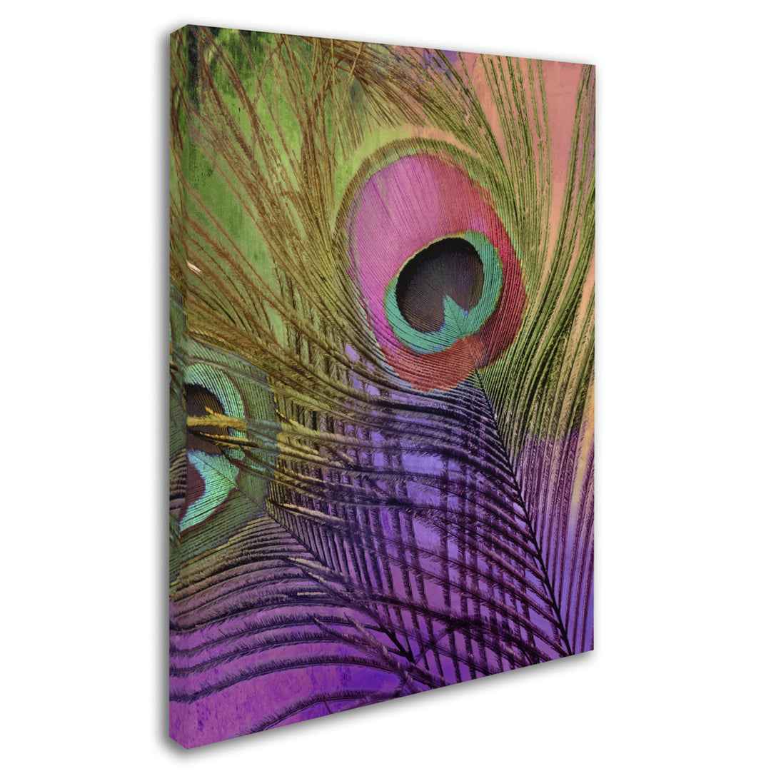 Color Bakery Peacock Candy III 14 x 19 Canvas Art Image 3