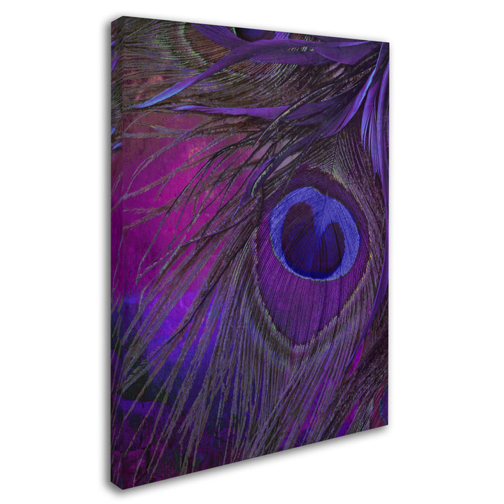 Color Bakery Peacock Candy IV 14 x 19 Canvas Art Image 3