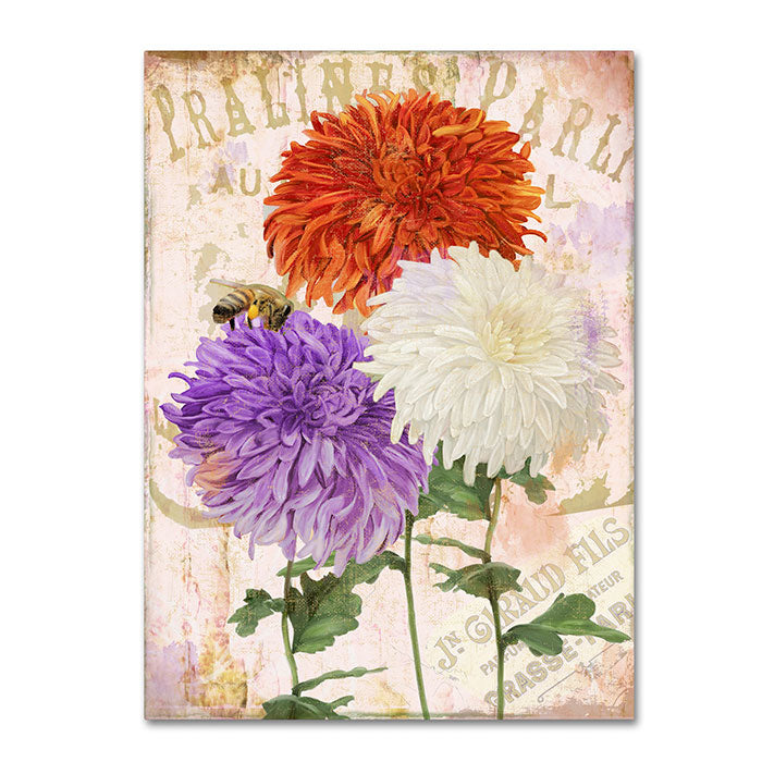 Color Bakery Chrysanthemums 14 x 19 Canvas Art Image 1