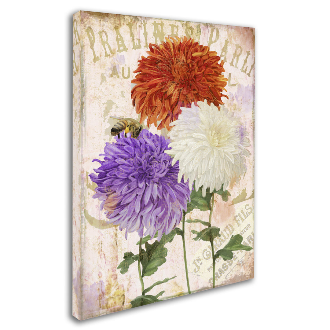 Color Bakery Chrysanthemums 14 x 19 Canvas Art Image 3