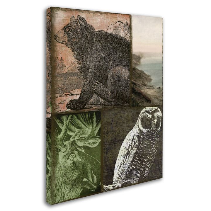 Color Bakery Cabela III 14 x 19 Canvas Art Image 3