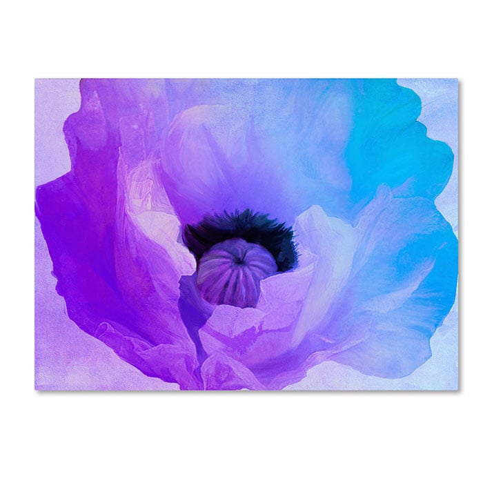 Color Bakery Poppy Gradient IV 14 x 19 Canvas Art Image 1