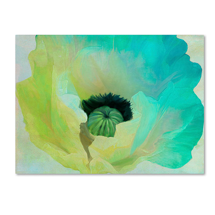 Color Bakery Poppy Gradient I 14 x 19 Canvas Art Image 1