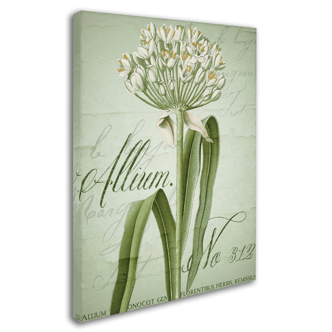 Color Bakery Allium I 14 x 19 Canvas Art Image 3