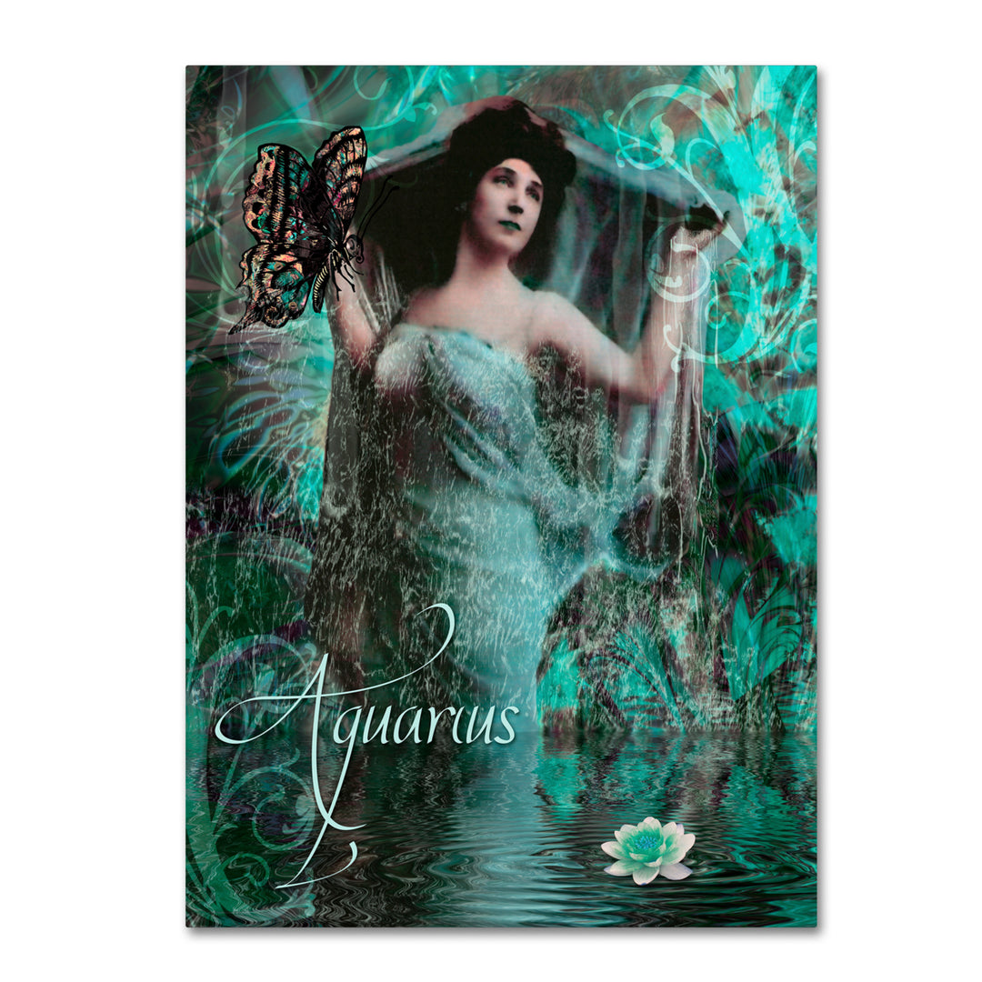 Color Bakery Art Nouveau Zodiac Aquarius 14 x 19 Canvas Art Image 2